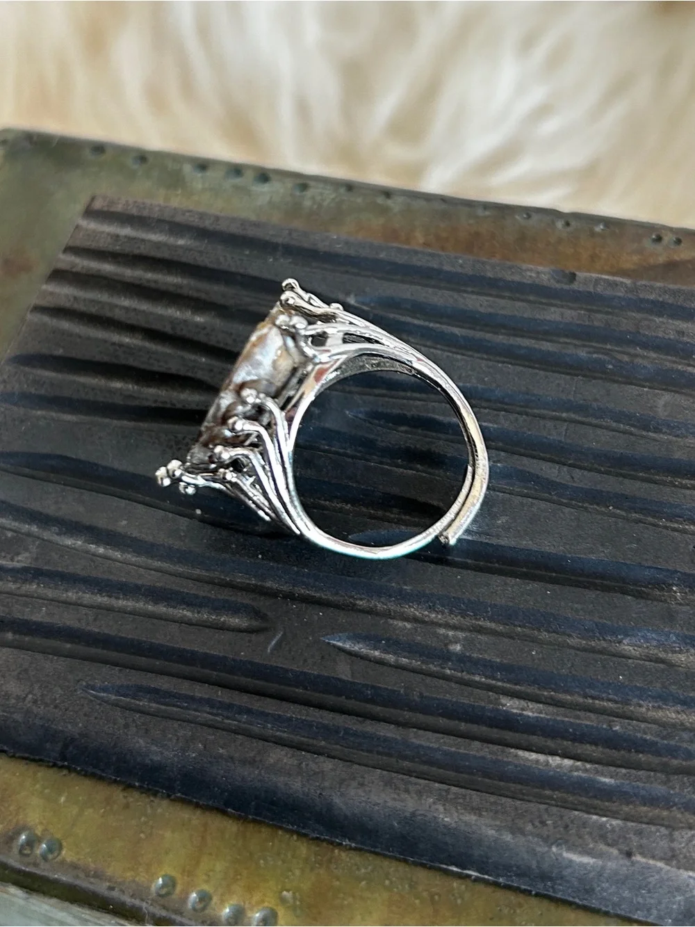 Handcrafted Brown Ammonite Shell Ring in Silver Setting